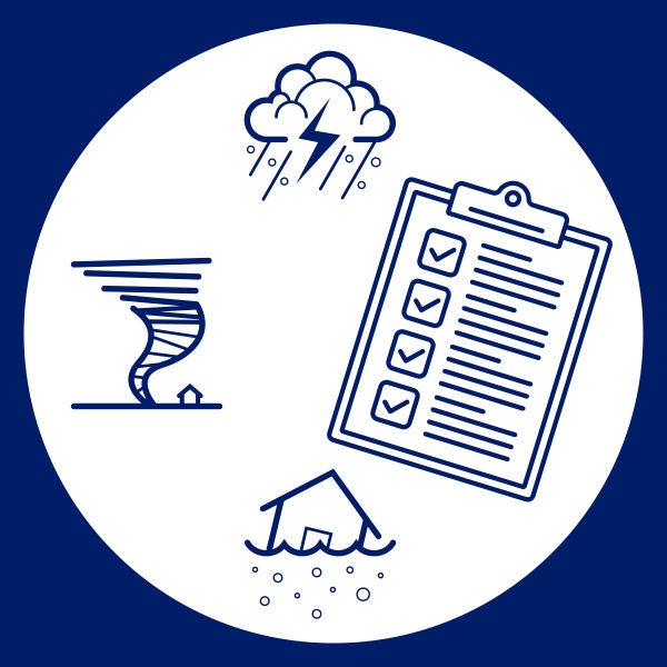 Niveles Junior y Cadette